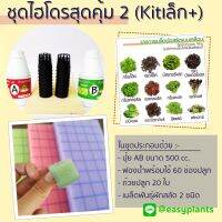 ชุดปลูกผัก  สลัด  สุดคุ้ม 2 (Kit เล็ก Plus) ไฮโดรโปนิกส์ DIY ปุ๋ย 500ml-AB 1 คู่ เมล็ดสลัดเคลือบ 2 ชนิด ฟองน้ำปลูก ถ้วยปลูก คู่มือ แถมหลอดวงปุ๋ย