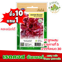 (ซื้อ10แถม1) เมล็ดพันธุ์ เรดคอส ซัมเมอร์ Red cos summer ประมาณ 1,000เมล็ด เจียไต๋ เมล็ดพันธุ์พืช เมล็ดพันธุ์ผัก เมล็ดผัก เม็ดผัก ผักสวนครัว พืชผัก ปลูกผัก