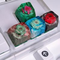 ↂ✘┇ Keycaps Mechanical Keyboard Anne Pro 2 Mechanical Keyboard Resin Keycaps - 4 - Aliexpress