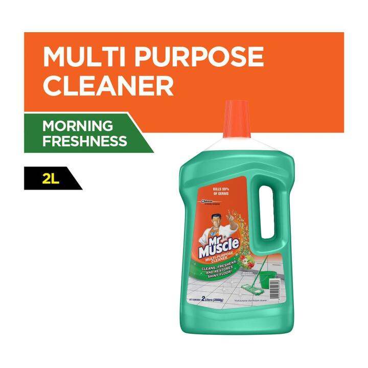 Mr. Muscle Multi-Purpose Disinfectant Cleaner Morning Freshness 2L ...