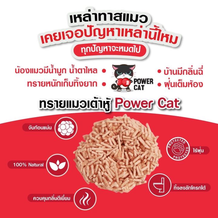 ทรายเต้าหู้-powercat-ขนาด-6l-ทรายเต้าหู้พรีเมี่ยม-ฝุ่นน้อย-ดับกลิ่นได้ดี-ทิ้งชักโครกได้