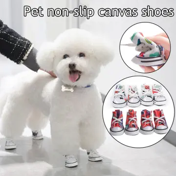 Shih tzu store shoes for sale