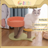 DOUDOUพร้อมส่ง? ที่ลับเล็บแมว Cat climbing frame คอนโดแมวปีน บ้านแมว กรอบปีนแมว กล่องที่นอนคอนโดแมว ของเล่นสำหรับน้องแมว