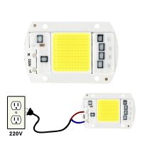 หลอดไฟ LED 20W 30W 50W ไม่มีโปรแกรมควบคุมที่จำเป็น AC 220V สำหรับ（SPOT EXPRESS）ฟลัดไลท์ไลท์หลอดไฟสปอตไลท์ไฟ DIY