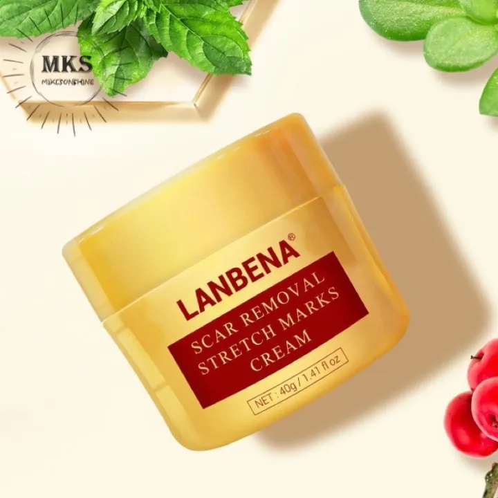 Lanbena Scar Removal Stretch Mark Cream 40g5QB Lazada PH