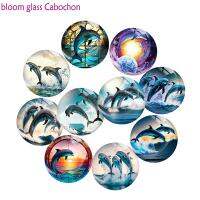 Free Shipping Dolphin Shark Ocean Round Photo Glass Cabochon Demo Flat Back Jewelry Accessories For Making Findings S2880 Beads