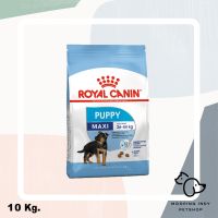 ด่วนโปร ส่งฟรี Royal Canin 10 kg. Maxi Puppy อาหารลูกสุนัขพันธุ์ใหญ่