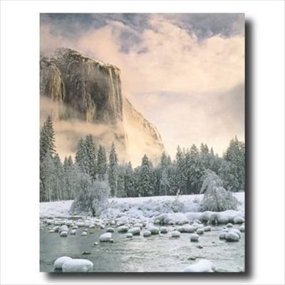 ทิวทัศน์ทะเลสาบต้นไม้ปกคลุมด้วยหิมะฤดูหนาว Yosemite ภาพติดผนัง X ภาพพิมพ์ศิลปะ