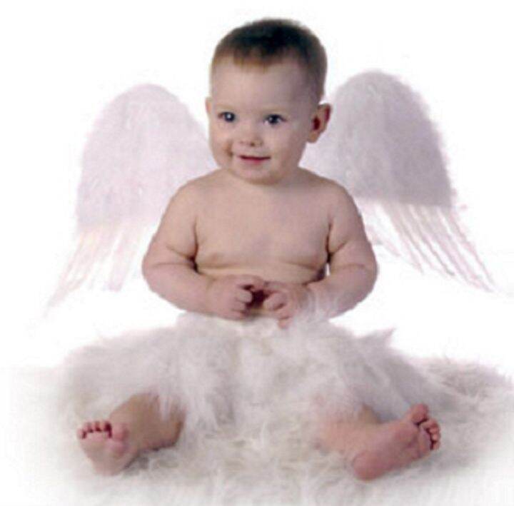 BABY ANGEL CRIB/PLAYPEN WITH MOSQUITO NET AND PNC8106 PINK