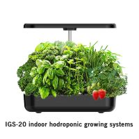 Hydroponics Growing System 12 Pods Indoor Herb Garden With Led Grow Light Smart Garden Planter For Home Kitchen Automatic Timer