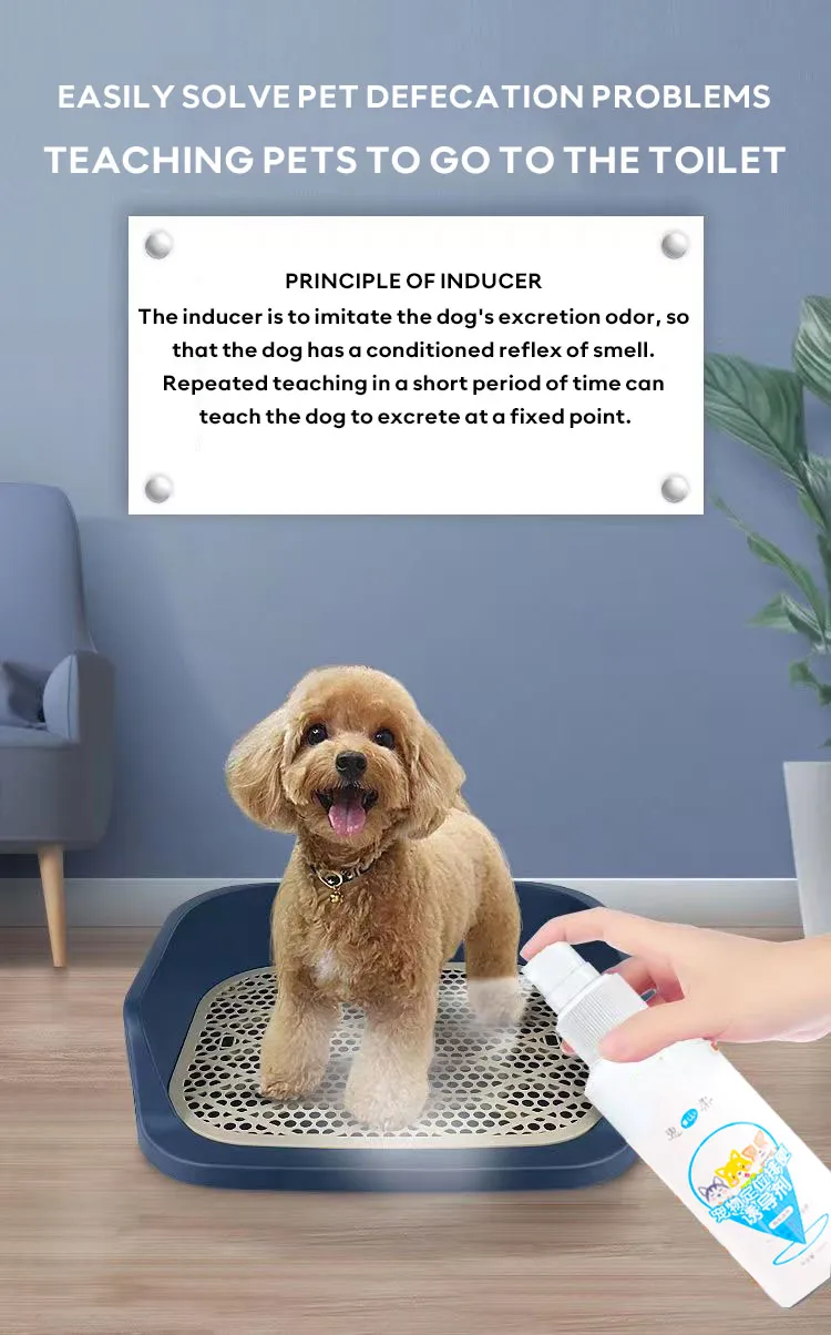 When To Get A Dog Fixed