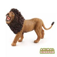 Animal Kingdom - โมเดล Lion สิงโต พ่อ ขนาด 13.00 CM (จากสงขลา)