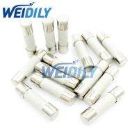 10PCS Slow Blow Fuse 10A 250V Ceramic Fuse 5*20mm Fuse T10A/250V Without Pin 5X20MM New Electrical Circuitry Parts