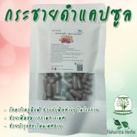 กระชายดำ ขนาด 50 / 100 แคป (1เม็ด 500 มก.) สมุนไพรไทยแท้ 100% พร้อมส่ง -168 Herbs- จำหน่ายทั้งปลีกและส่ง ทักแชทสอบถามข้อมูลสินค้าได้เลยค่ะ