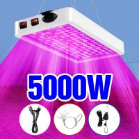 5000W Grow Light Led Phyto Lamp Hydroponics Growing System Indoor Plant Growth Light Flowers Greenhouse Seedlings Growth Bulb