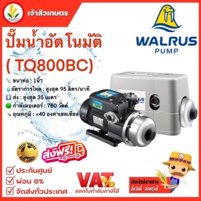 WALRUS ปั๊มน้ำอัตโนมัติ รุ่น TQ800BC ปั๊มน้ำ 1 นิ้ว ปั้มน้ำ ปั้มน้ำอัตโนมัติ 750 วัตต์ ปั๊มน้ำออโต้ 1