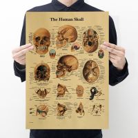 【H181】 The New Human Body Interpretation Picture-Skull Retro Kraft Paper Series Bar Cafe Decorative Painting