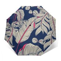 Umbrella Chrysanthemum And Hoya Automatic Folding Portable Umbrella Sun Rain And Windproof Beach Parasol