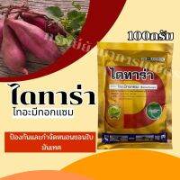 ไดทาร่า (ไทอะมีทอกแซม) ขนาด 100กรัม ตราดอกจำปีสีทอง ป้องกันและกำจัดหนอนชอนใบมันเทศ