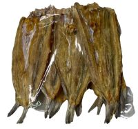 ปลาเหลนตากแห้ง จืด,ปลาช่อนทะเลตากแห้ง dried fish 鱼干 1แพค/บรรจุปริมาณ 1 Kgกิโลกรัม ราคาพิเศษ สินค้าพร้อมส่ง