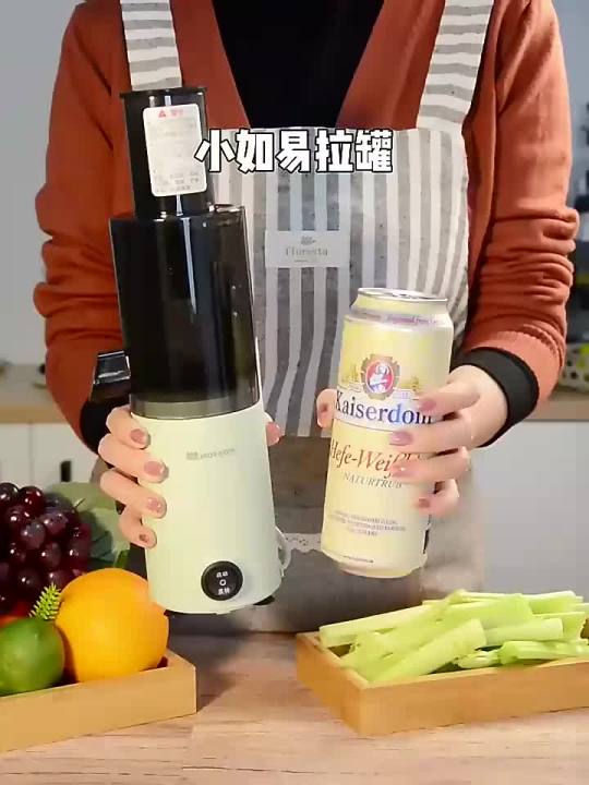 Mini Slow Juicer Household Full-automatic Small Juicer