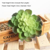 Cute Simulate Succulent Plants Green Series Artificial Bonsai DIY Bonsai PVC Succulent Aloe Plants for Home Balcony Cafe Decor