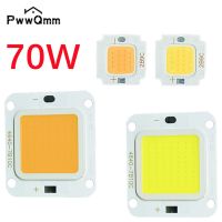 【CW】 COB Chip 70W 60W 50W 40W 30W 20W Backlight Diode Lamps Cold Warm Flood Bulbs Spotlights