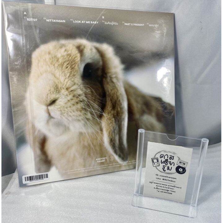 แผ่นเสียง-anatomy-rabbit-อัลบั้ม-hootok-หูตก