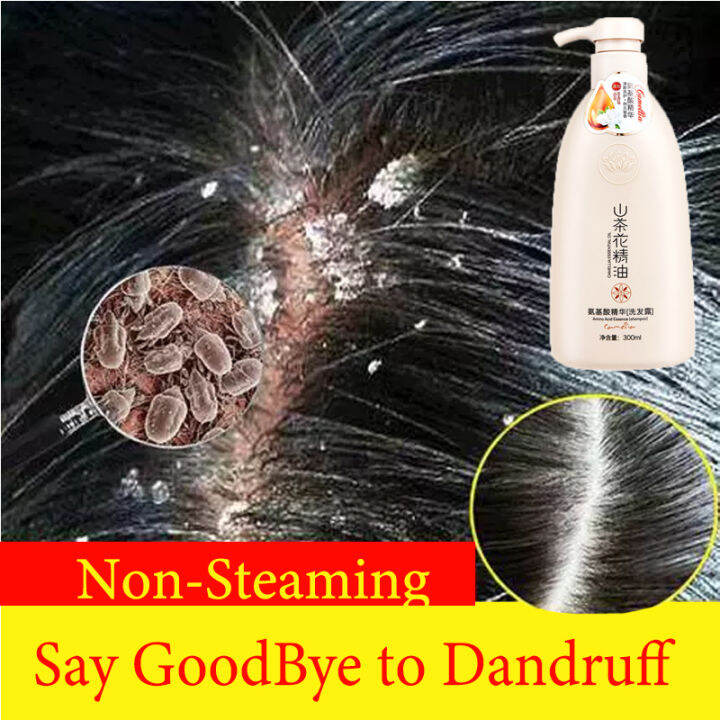 CAMELLIA Sakura Amino Acid Shampoo Lasting Fragrance Shampoo ...