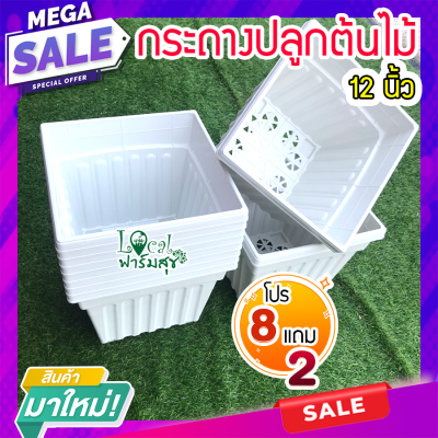 Local ฟาร์มสุข กระถางต้นไม้ ( 8 แถม 2 ) กระถางสี่เหลี่ยม 12 นิ้ว สีขาว  กระถางปลูกต้นไม้ กระถางพลาสติก เนื้อดี สวย มีรู homes