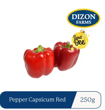 Fresh Red Bell Pepper For Delivery Near Me – Ecosprout