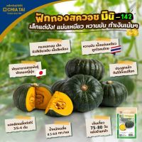 เมล็ดฟักทองญี่ปุ่น พันธุ์สควอช มินิ 142 ตราเจียไต๋ SQUASH MINI 142 เมล็ดพันธุ์ฟักทองญี่ปุ่น เมล็ดพันธุ์ฟักทอง เมล็ดฟักทอง เมล็ดพันธุ์ผัก