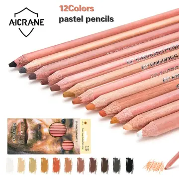 12 Professional Soft Pastel Pencils Wood Skin Tints Pastel Colored