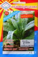 เคล คะน้าไดโนเคล จูราสสิค Dinosaur kale เมล็ดพันธุ์ตราสามเอ