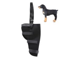 【cw】 Pet Dog Leg Brace Right/Left Rear Leg Knee Hock Brace Bandages Straps Protection Dog Joint Bandage Wrap Recovery Supplies