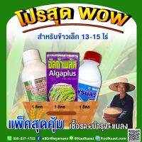 ชุดป้องกัน กำจัดแมลง เชื้อรา บำรุง ข้าวเล็ก 13-15ไร่ โรคใบไหม้ เมล็ดด่าง หนอน เพลี้ย บำรุง ข้าวแตกกอ ต้นแข็งแรง คูลเกษตร