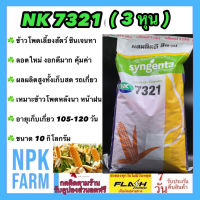 ข้าวโพดเลี้ยงสัตว์ เอ็นเค NK 7321 เบอร์3 (3 หุน) 10 กิโลกรัม ซินเจนทา ข้าวโพดสัตว์ เมล็ดกลมเล็ก ลอตใหม่ งอกดี ผลผลิตสูงเก็บสด เก็บแห้ง npkplant