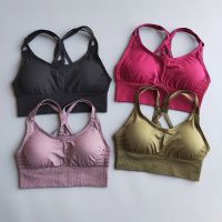 fgjre335 ขายดีที่สุด - /■ พลังงาน Bra Olahraga Seamless วิ่งกลับข้ามสายโยคะพร้อมแผ่นรองที่ถอดออกได้เสื้อยกทรงกีฬาเสื้อฟิตเนสผู้หญิง