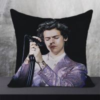 Luxury Sofa Cushions Furniture Room Decor Pillow Cases Harry Styles Pillowcase Decorative Pillowcases Cushion Cover Pillows Hugs