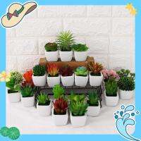 【COD】พืชประดิษฐ์ขนาดเล็ก succulents ปลอม