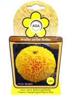 ดาวเรือง มหาโชค สีเหลือง African Marigold เมล็ดพันธุ์ดอกไม้ AGA เอกะ อะโกร