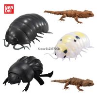 Gashapon ของเล่นแคปซูล Gacha Pillbug ของเล่นแคปซูลสินค้า Bandai แท้กาชลีซาร์ดตัวนิ่มเครื่องประดับโต๊ะตัวหนอนแตงโมจิ้งจก