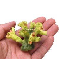 Mini Coral Aquarium ตกแต่ง Fish Tank OrnamentsToys สำหรับ Fish Play Dropship