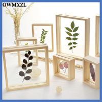 OWMXZL DIY วินเทจ แฟชั่น ตกแต่งงานแต่งงาน ตัวอย่างพืช กรอบรูป ทำด้วยไม้ ที่ใส่รูปภาพ