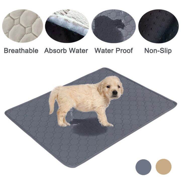 Dog best sale floor diaper