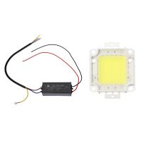 30W LED Driver Constant Current Driver Power Supply Transformer Waterproof with High Power 30W LED Chip Bulb Light Lamp DIY White 2200Lm 6500K