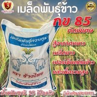 พันธุ์ข้าวปลูก นาปรัง กข.85 กระสอบละ 25Kg. (นาปรัง) ลดราคาพิเศษ  เก็บเงินปลายทาง