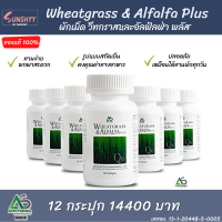 (สุดคุ้ม 12 กระปุก) Wheatgrass &amp; Alfala Plus ผักเม็ด อัลฟัลฟ่า สูตรดั้งเดิม 12 กระปุก ของแท้สูตรดั้งเดิม แอมสตรอง (AMSTRONG)