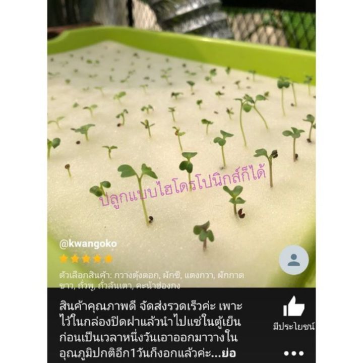 เมล็ดพันธุ์ผัก-บรรจุซองซิป-ซื้อ-10-แถม-1-คละได้-ชุดที่-2