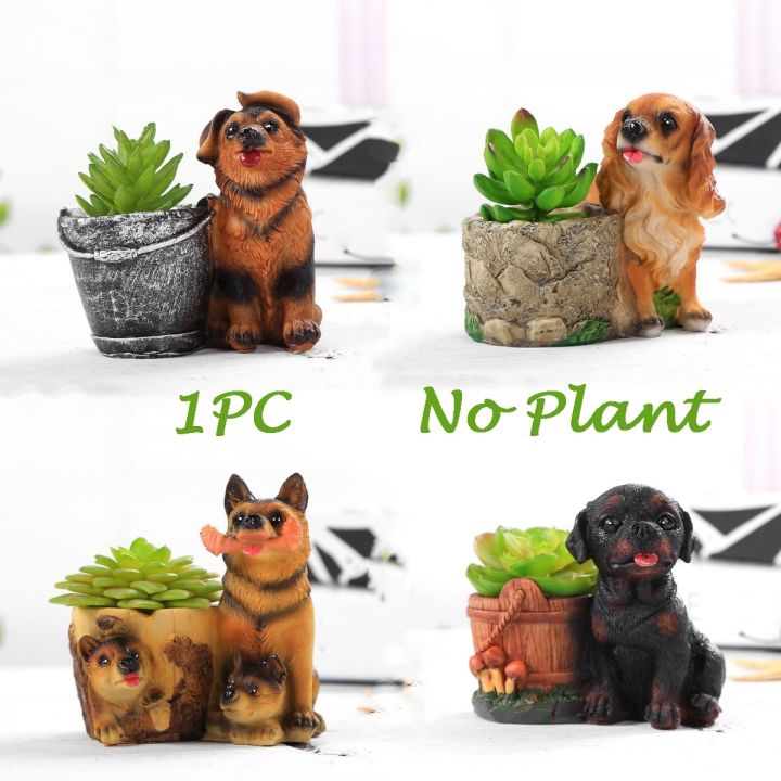 like-activities-1pc-swich-withoutfor-เซรามิก-succulents